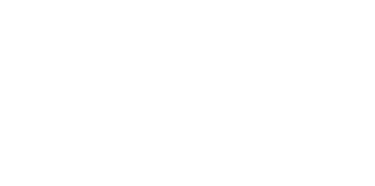 VoeVip